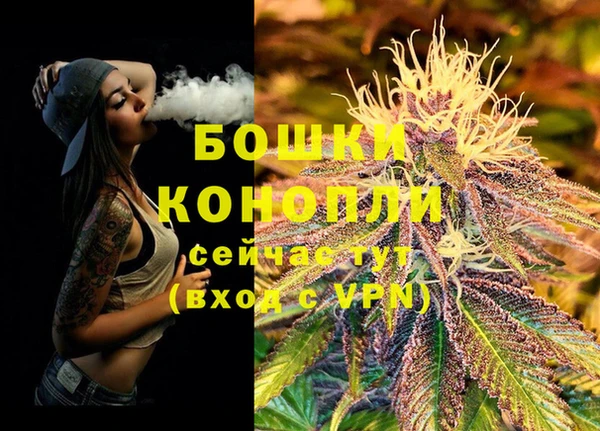 герыч Вяземский