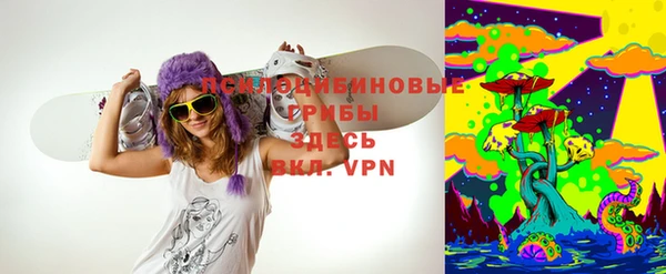 гидра Березники
